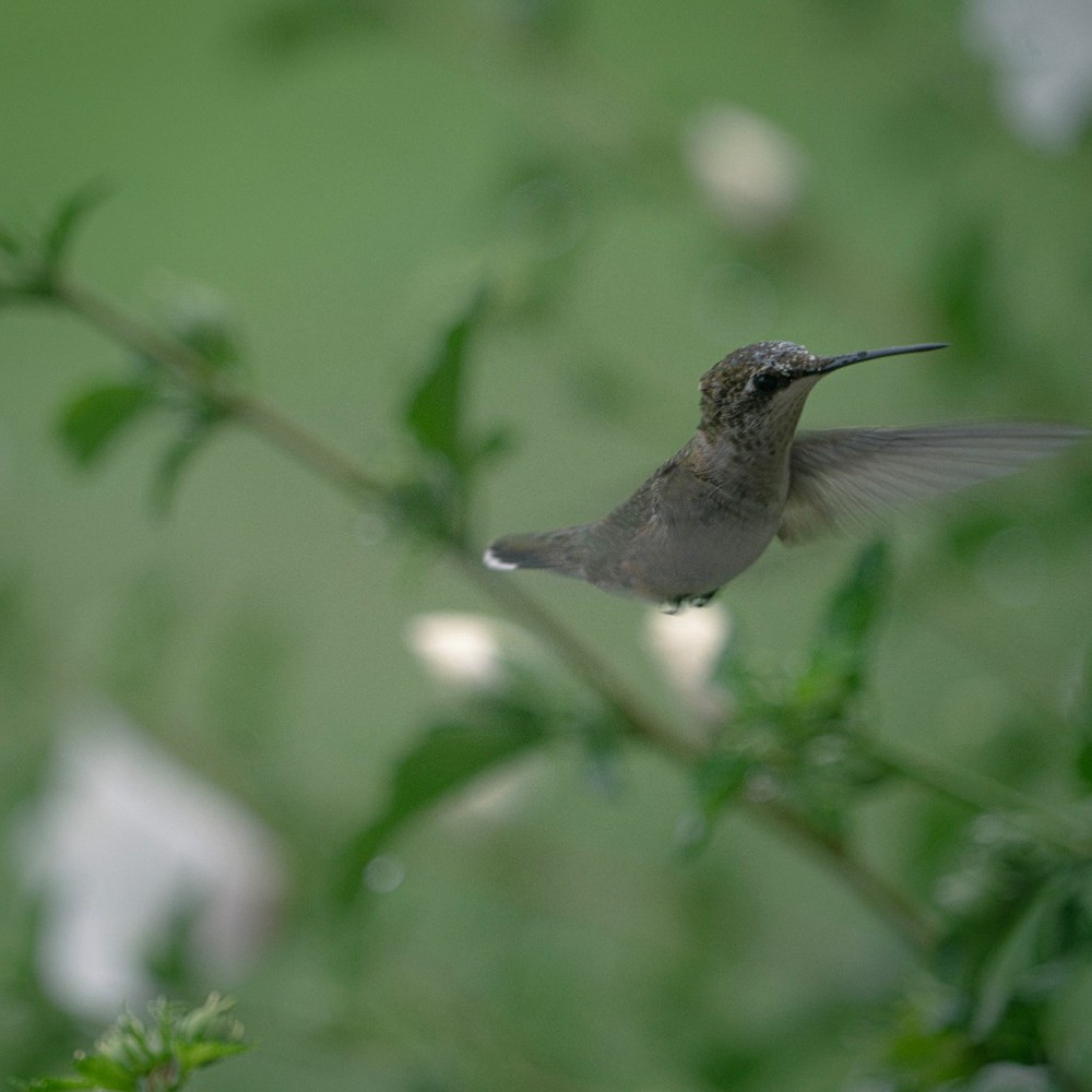 Meet your Posher, Cassie
